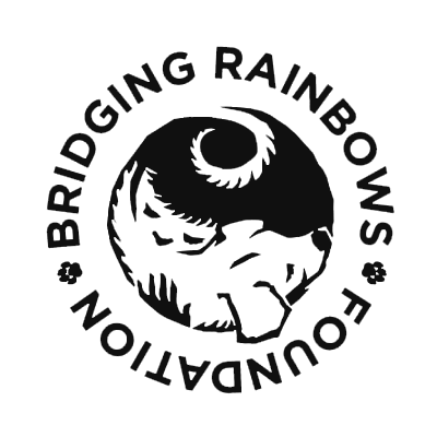 Bridging Rainbows Foundation